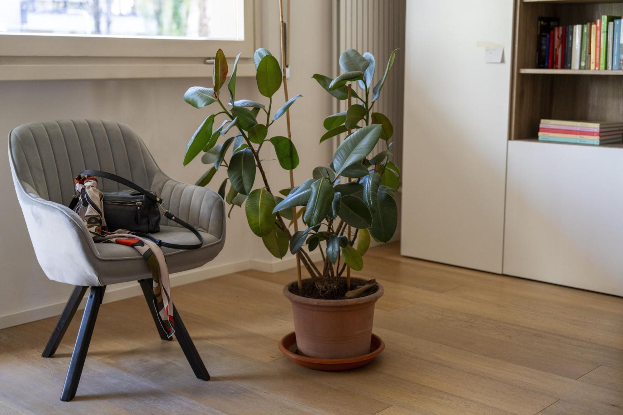 Danti Chic Apartment Firenze Bagian luar foto